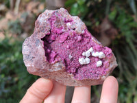 Natural Salrose Cobaltion Dolomite With Malachite Specimens x 12 From Kakanda, Congo