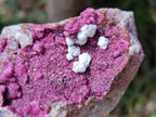 Natural Salrose Cobaltion Dolomite With Malachite Specimens x 12 From Kakanda, Congo - Toprock Gemstones and Minerals 