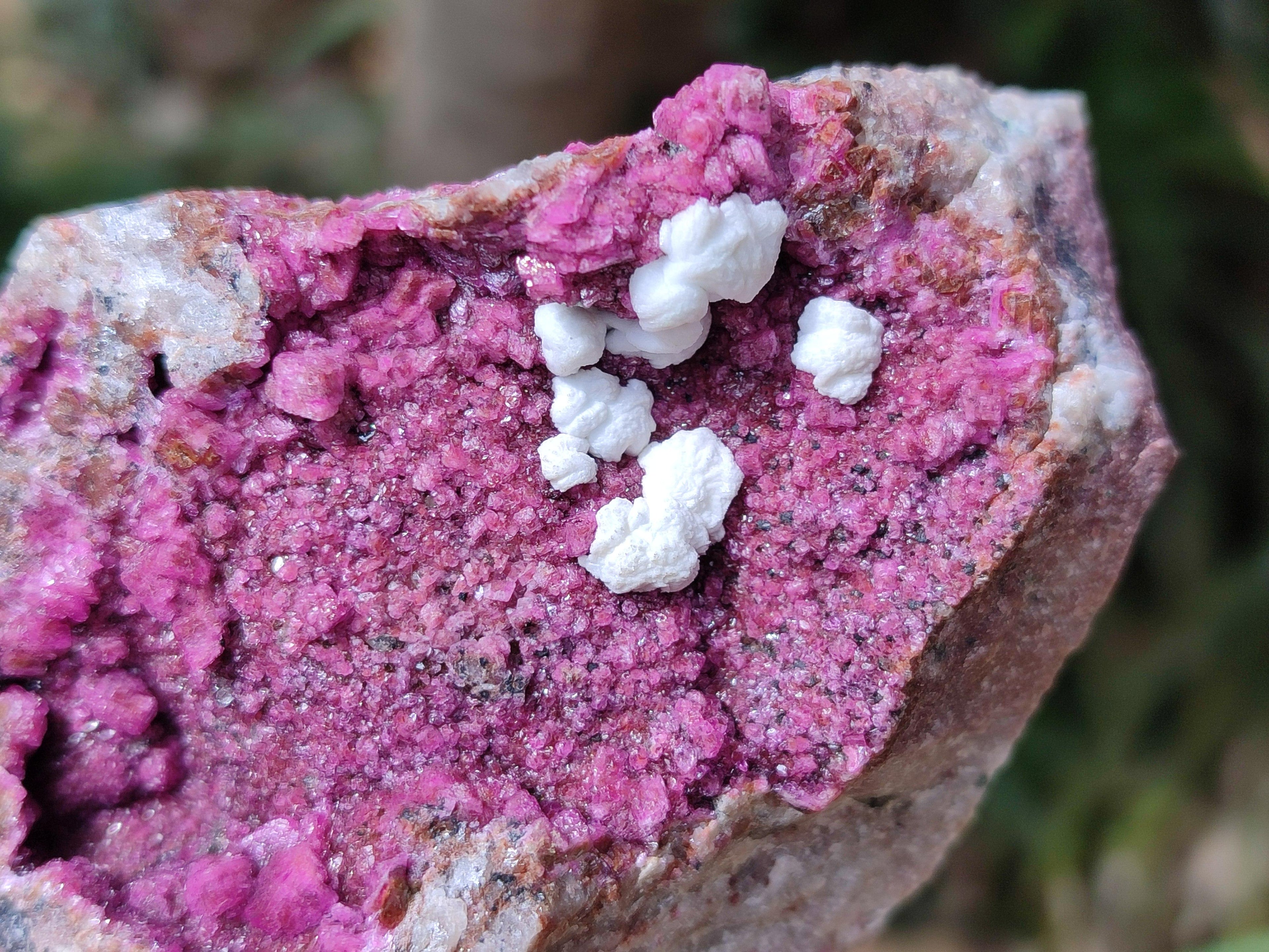 Natural Salrose Cobaltion Dolomite With Malachite Specimens x 12 From Kakanda, Congo