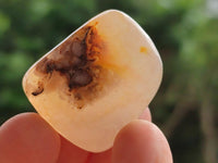 Polished Flower Agate Free Forms x 40 From Antsahalova, Madagascar