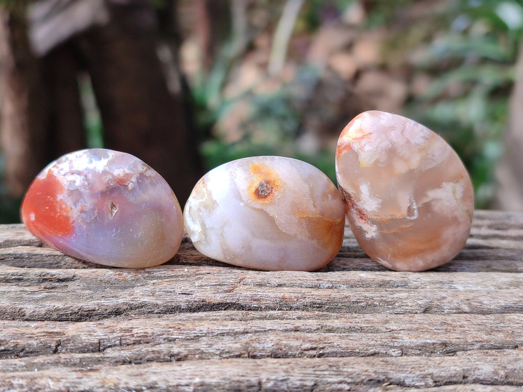 Polished Flower Agate Free Forms x 40 From Antsahalova, Madagascar - Toprock Gemstones and Minerals 