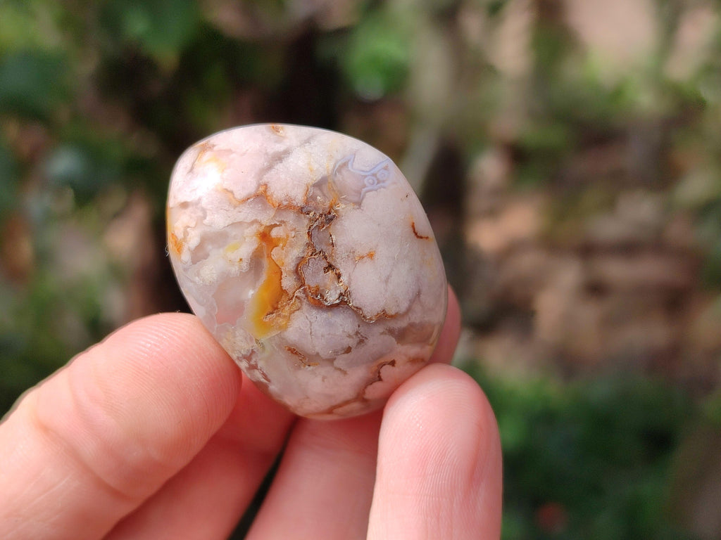 Polished Flower Agate Free Forms x 40 From Antsahalova, Madagascar - Toprock Gemstones and Minerals 