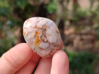 Polished Flower Agate Free Forms x 40 From Antsahalova, Madagascar