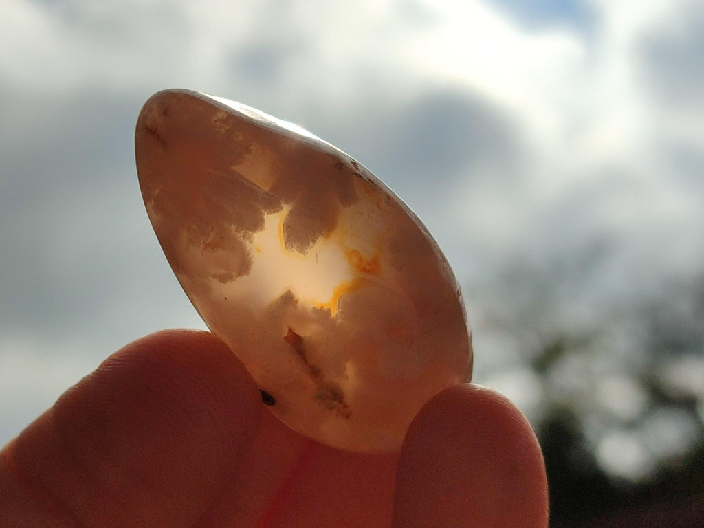 Polished Flower Agate Free Forms x 40 From Antsahalova, Madagascar - Toprock Gemstones and Minerals 