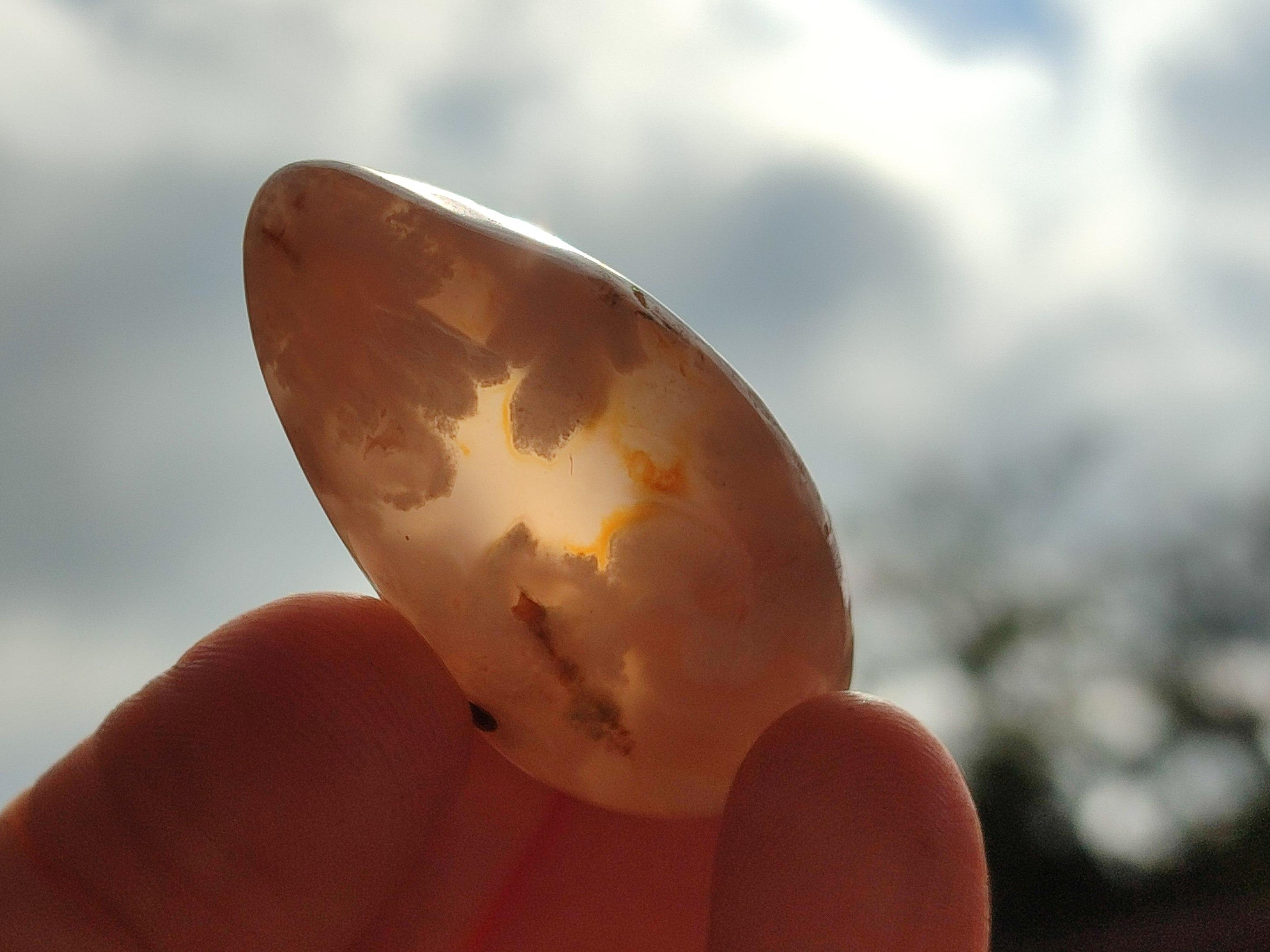 Polished Flower Agate Free Forms x 40 From Antsahalova, Madagascar - Toprock Gemstones and Minerals 