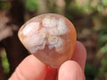 Polished Flower Agate Free Forms x 40 From Antsahalova, Madagascar - Toprock Gemstones and Minerals 