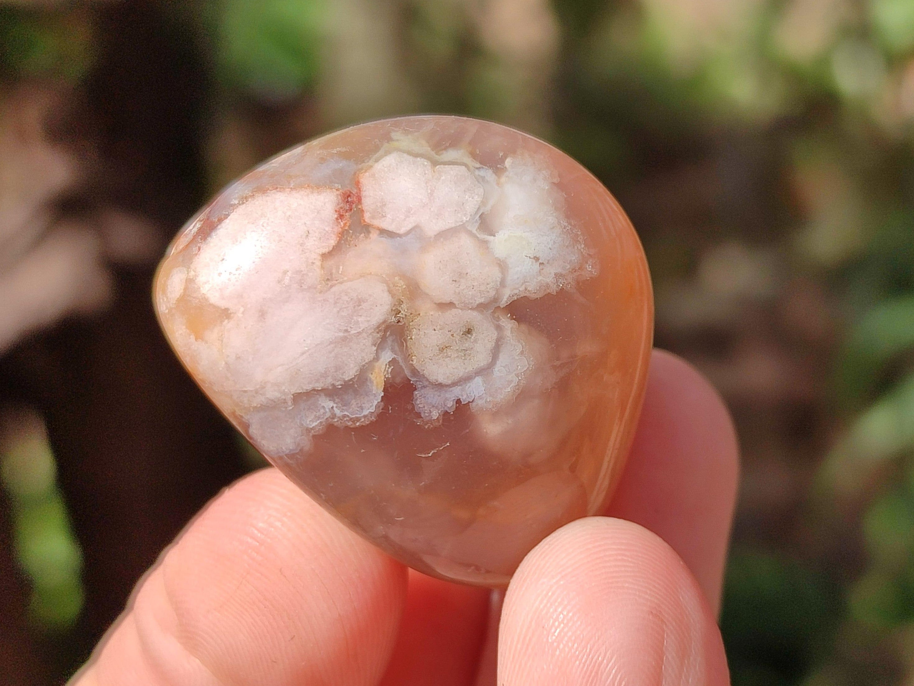 Polished Flower Agate Free Forms x 40 From Antsahalova, Madagascar