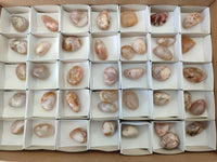 Polished Flower Agate Free Forms x 40 From Antsahalova, Madagascar
