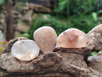 Polished Flower Agate Free Forms x 40 From Antsahalova, Madagascar - Toprock Gemstones and Minerals 