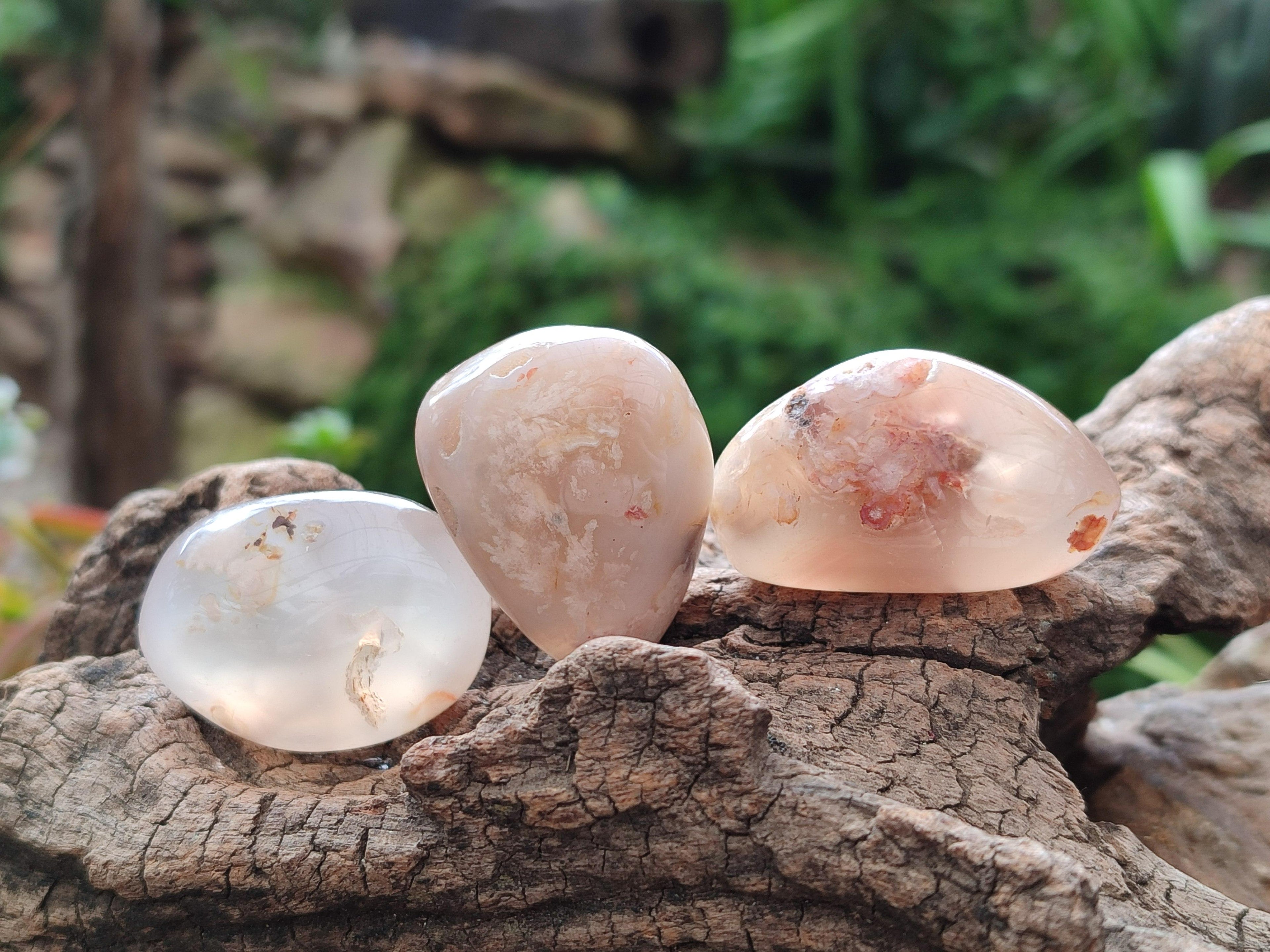 Polished Flower Agate Free Forms x 40 From Antsahalova, Madagascar - Toprock Gemstones and Minerals 