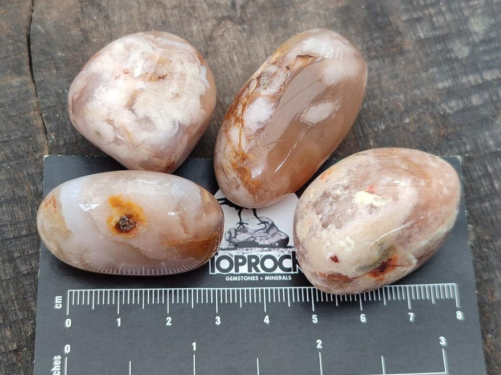 Polished Flower Agate Free Forms x 40 From Antsahalova, Madagascar - Toprock Gemstones and Minerals 