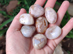 Polished Flower Agate Free Forms x 40 From Antsahalova, Madagascar - Toprock Gemstones and Minerals 