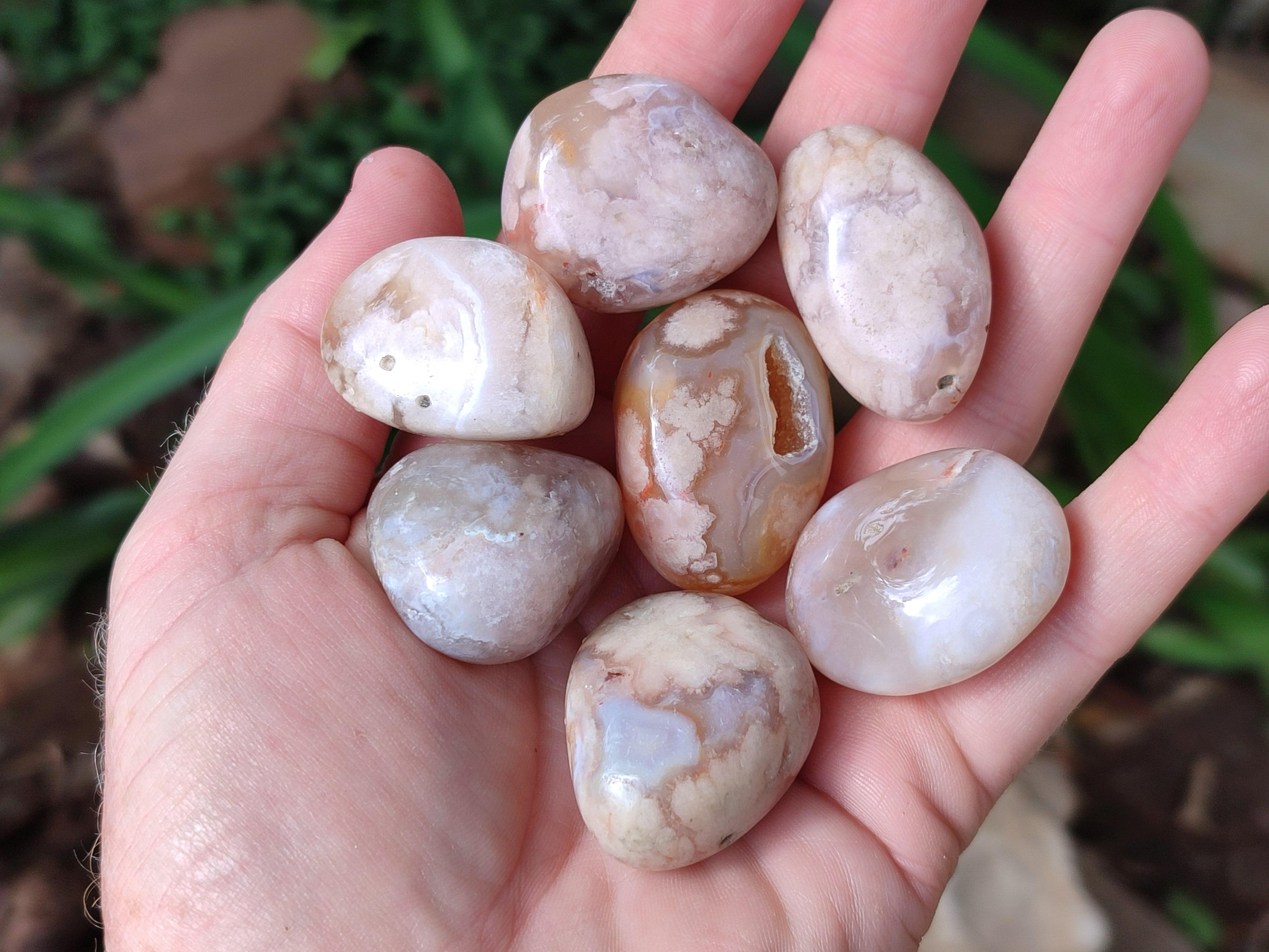 Polished Flower Agate Free Forms x 40 From Antsahalova, Madagascar - Toprock Gemstones and Minerals 