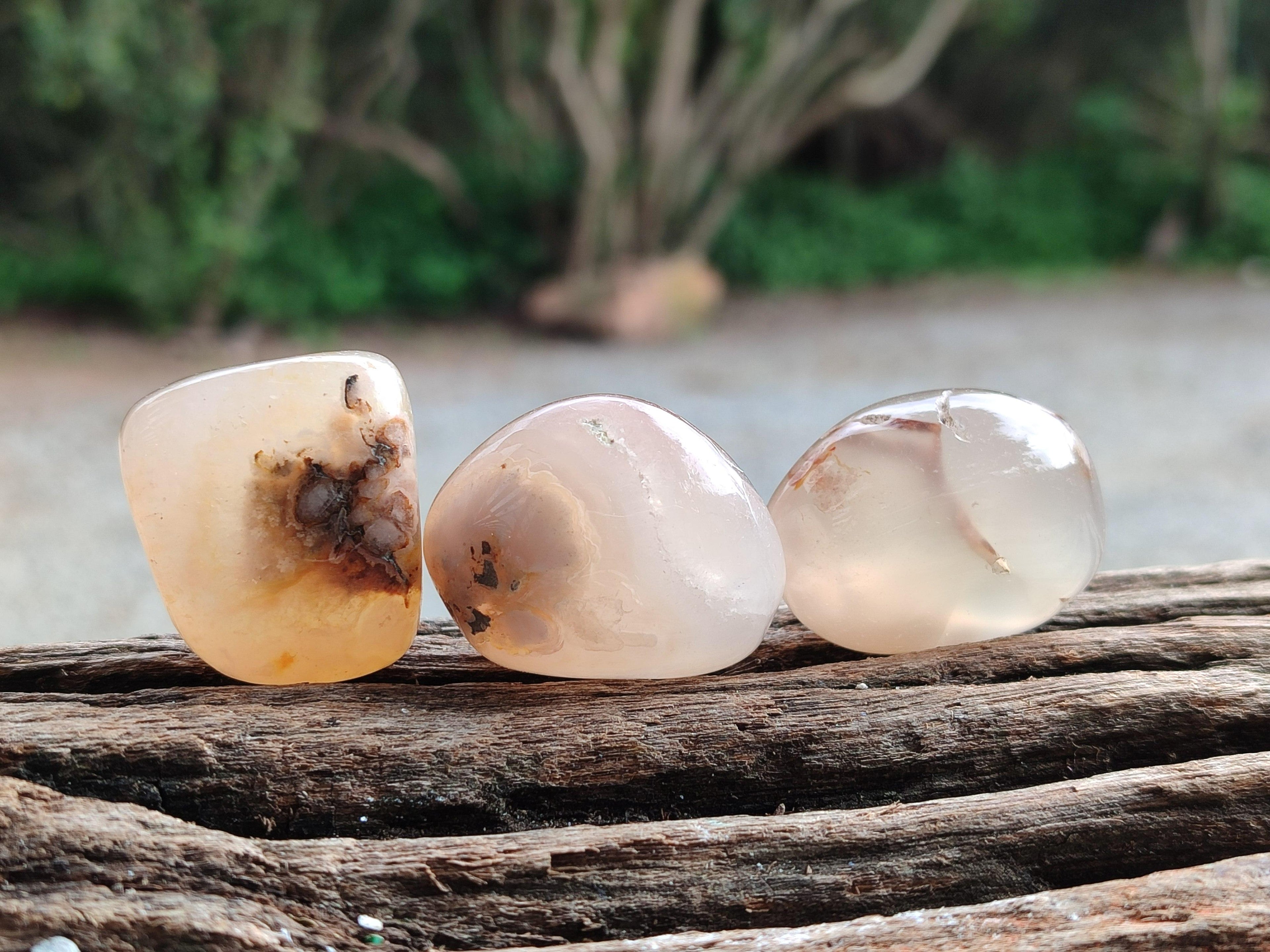 Polished Flower Agate Free Forms x 40 From Antsahalova, Madagascar - Toprock Gemstones and Minerals 