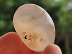 Polished Flower Agate Free Forms x 40 From Antsahalova, Madagascar - Toprock Gemstones and Minerals 