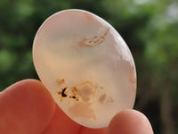 Polished Flower Agate Free Forms x 40 From Antsahalova, Madagascar