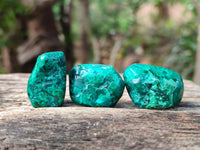 Polished Dioptase Free Forms x 20 From Likasi, Congo