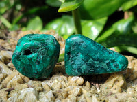 Polished Dioptase Free Forms x 20 From Likasi, Congo