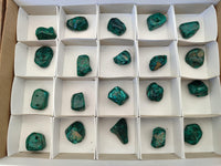 Polished Dioptase Free Forms x 20 From Likasi, Congo