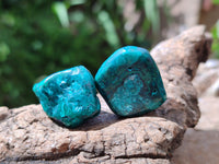 Polished Dioptase Free Forms x 20 From Likasi, Congo