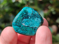 Polished Dioptase Free Forms x 20 From Likasi, Congo