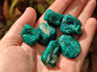 Polished Dioptase Free Forms x 20 From Likasi, Congo