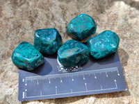 Polished Dioptase Free Forms x 20 From Likasi, Congo