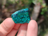 Polished Dioptase Free Forms x 20 From Likasi, Congo