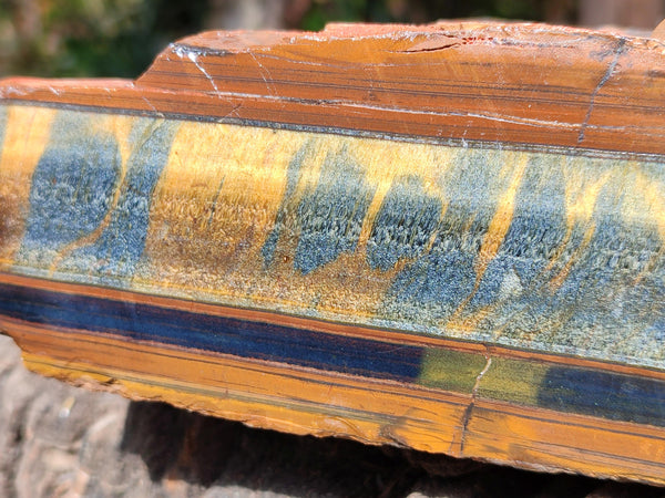 Natural XL Golden Blue Tiger's Eye Slab x 1 From Prieska, South Africa