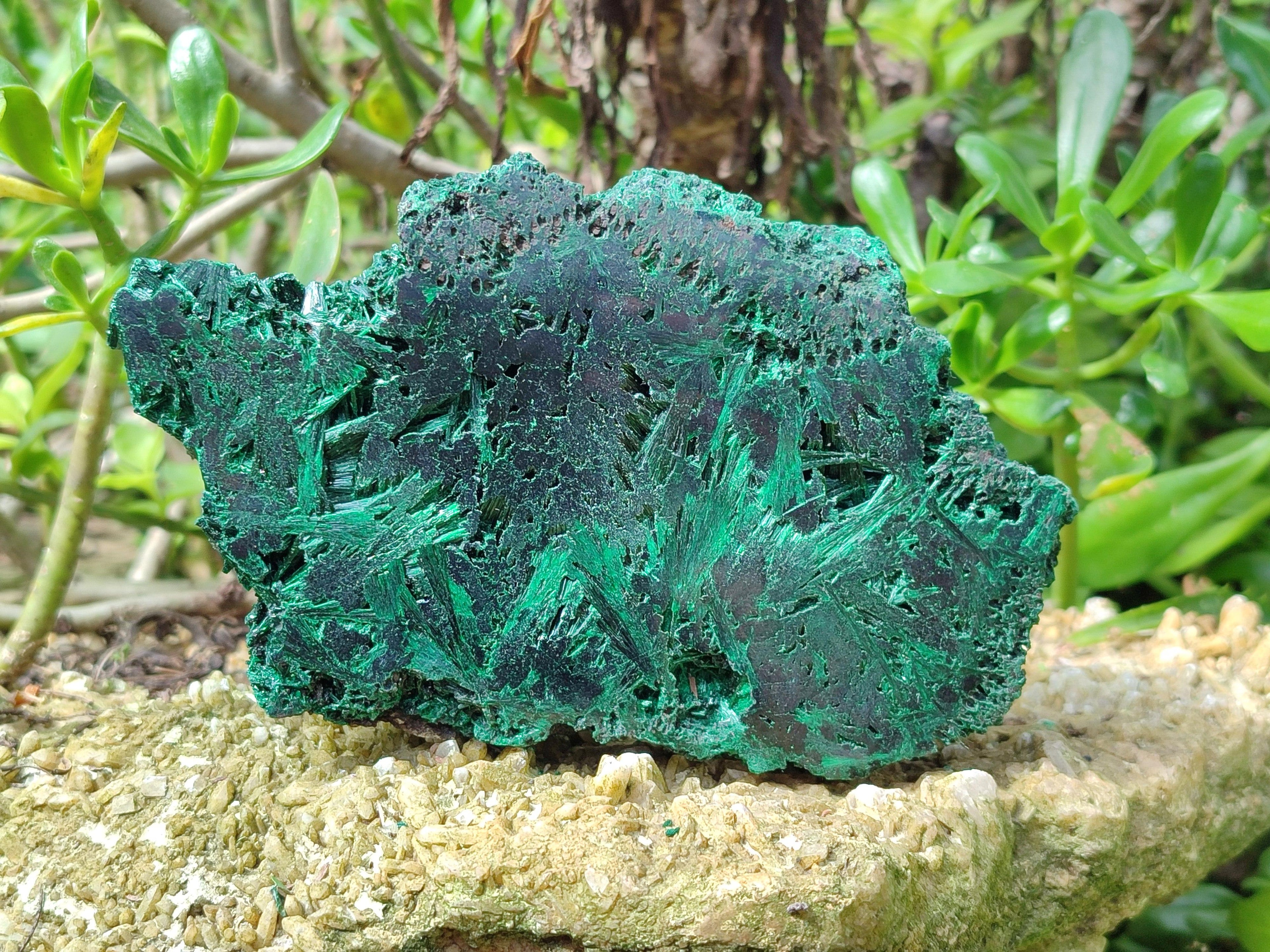 Polished On One Side Silky Malachite Specimens x 2 From Kasompe, Congo