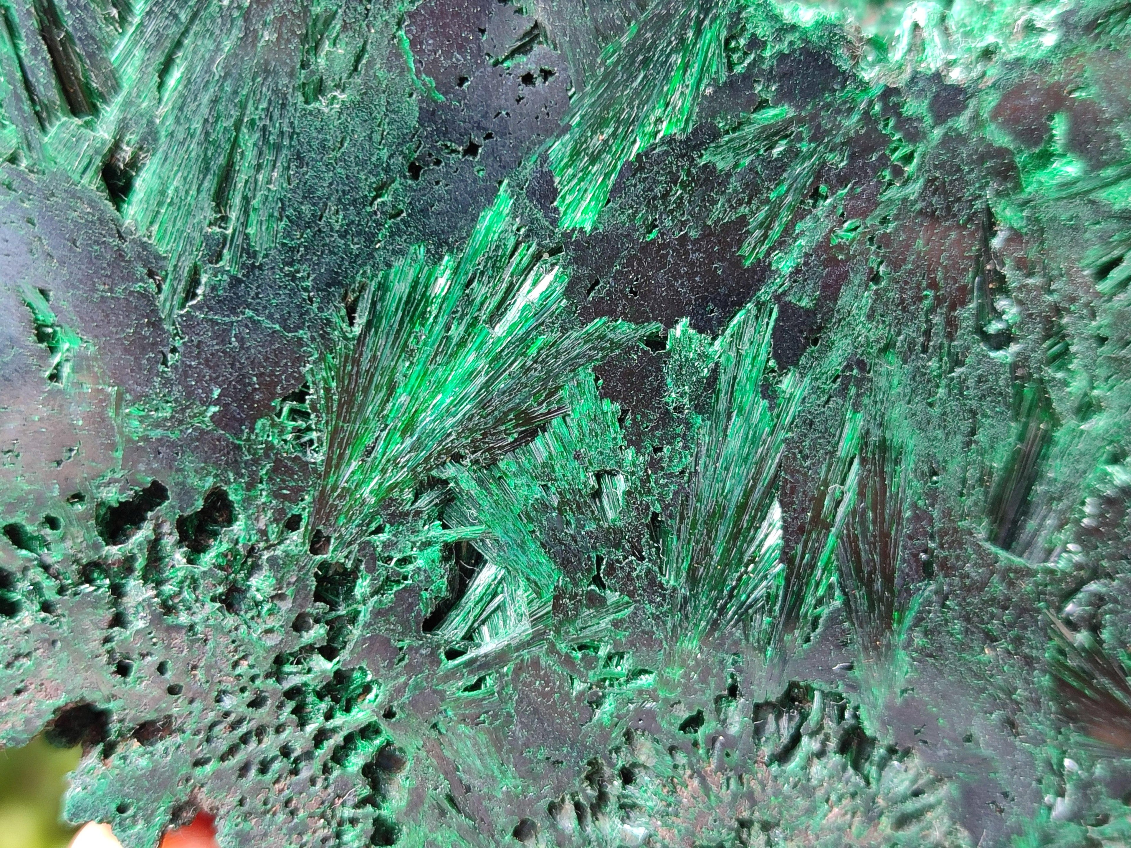 Polished On One Side Silky Malachite Specimens x 2 From Kasompe, Congo