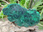 Polished On One Side Silky Malachite Specimens x 2 From Kasompe, Congo