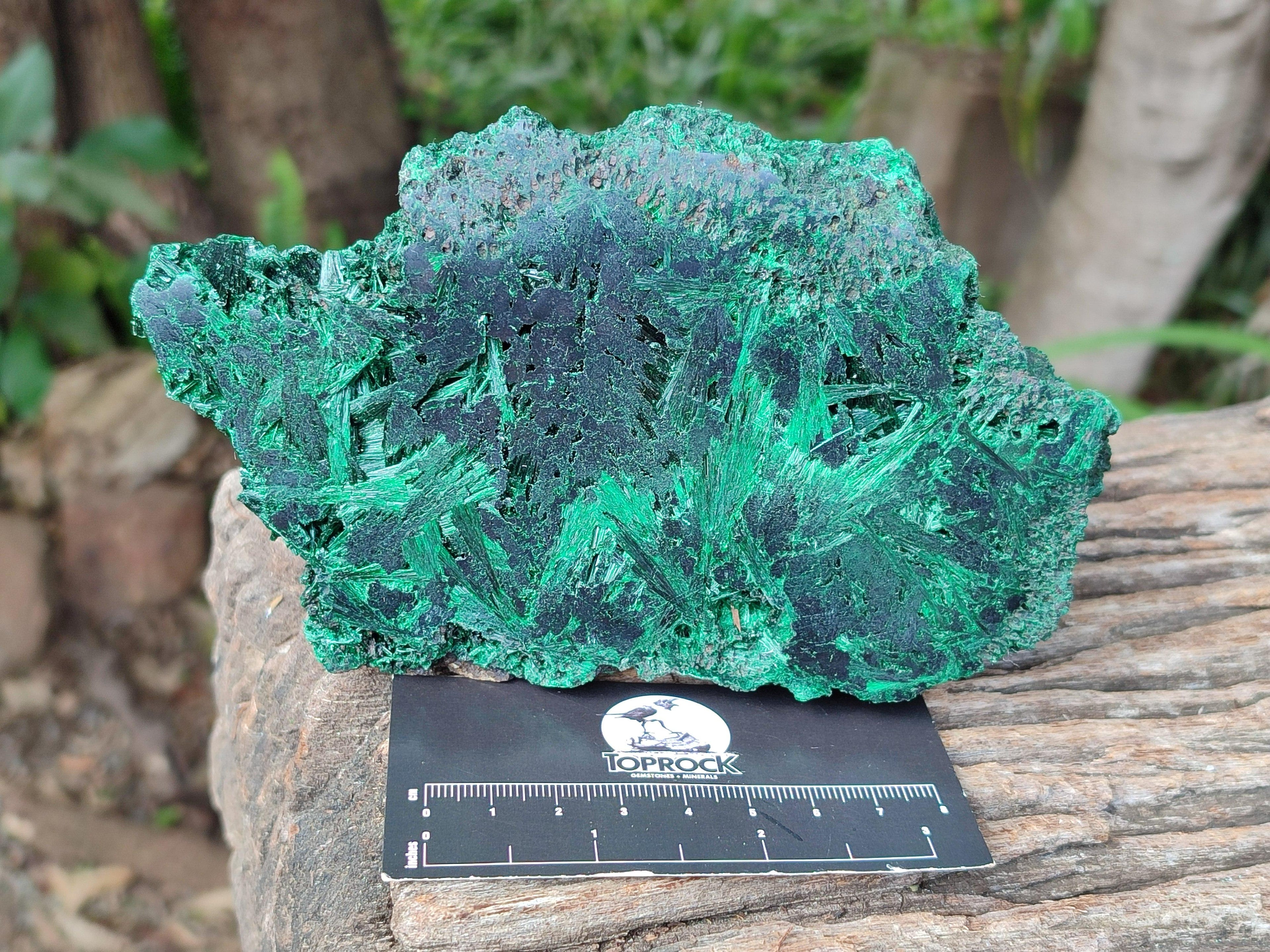 Polished On One Side Silky Malachite Specimens x 2 From Kasompe, Congo