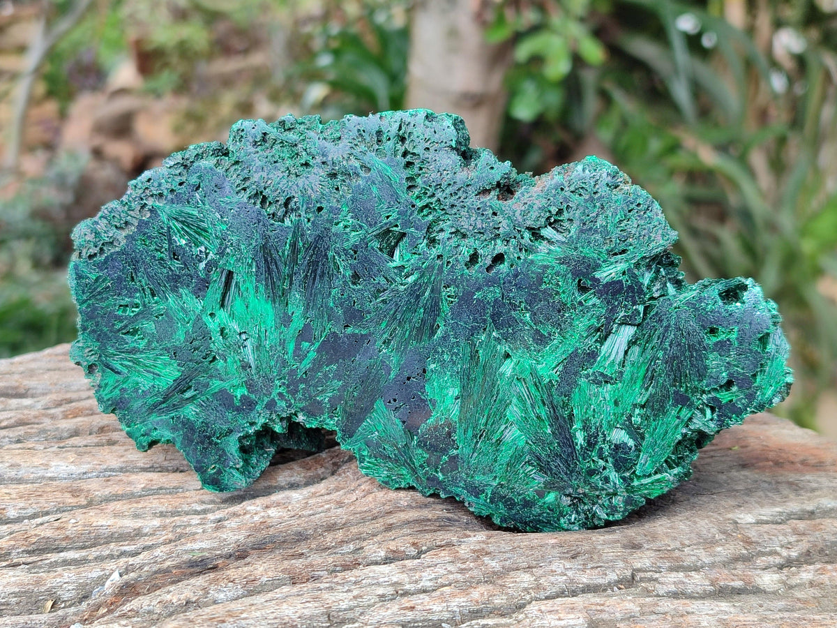 Polished On One Side Silky Malachite Specimens x 2 From Kasompe, Congo