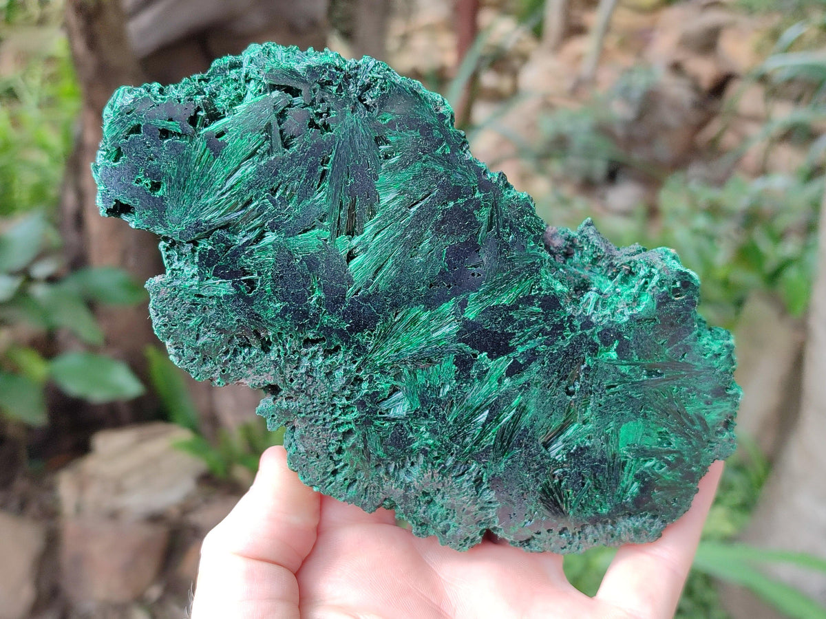 Polished On One Side Silky Malachite Specimens x 2 From Kasompe, Congo