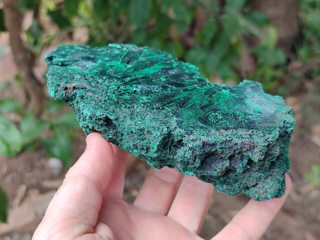 Polished On One Side Silky Malachite Specimens x 2 From Kasompe, Congo