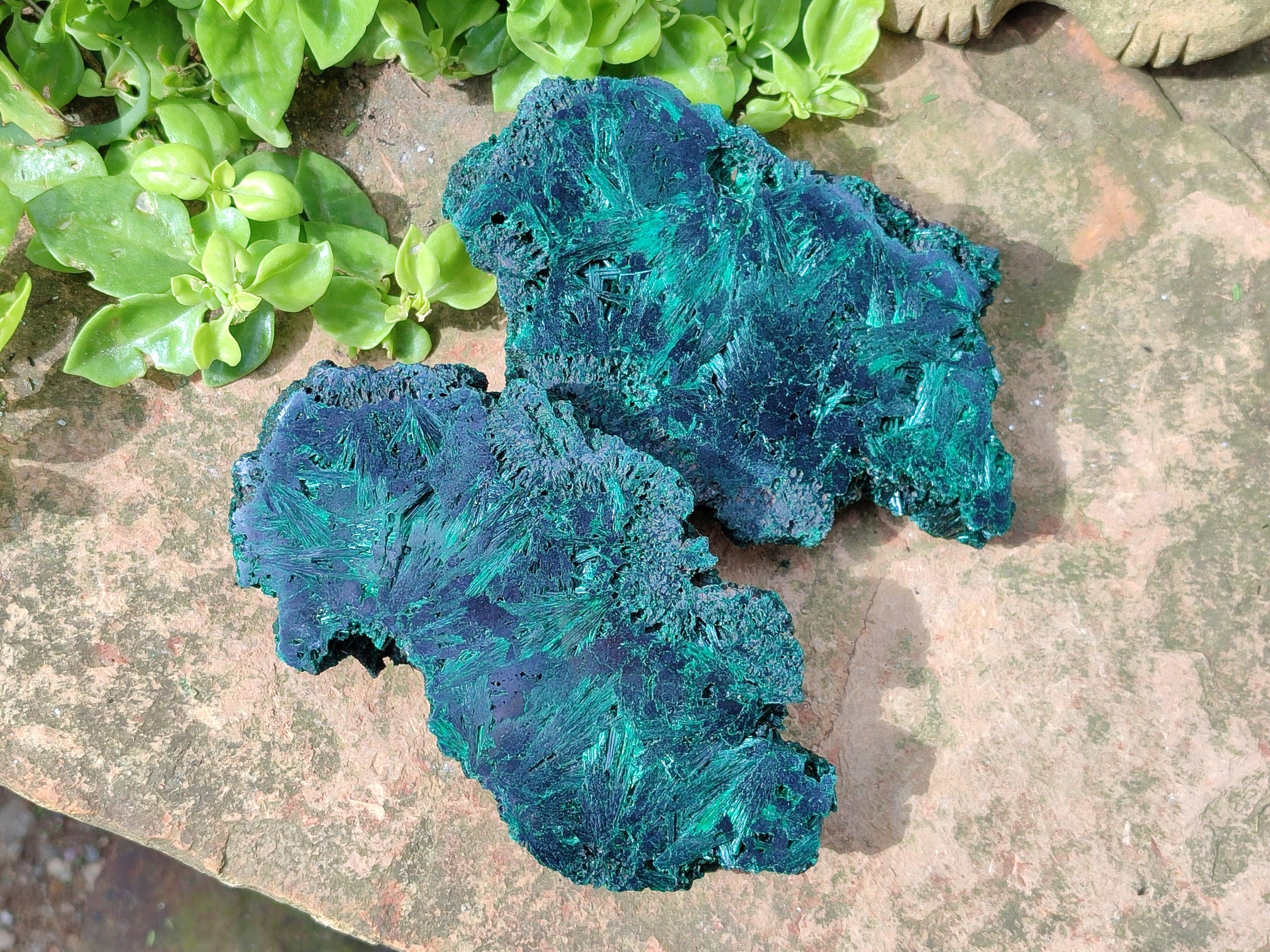 Polished On One Side Silky Malachite Specimens x 2 From Kasompe, Congo