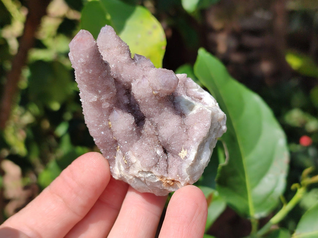 Natural Mixed Amethyst Spirit Clusters x 12 From Boekenhouthoek, South Africa