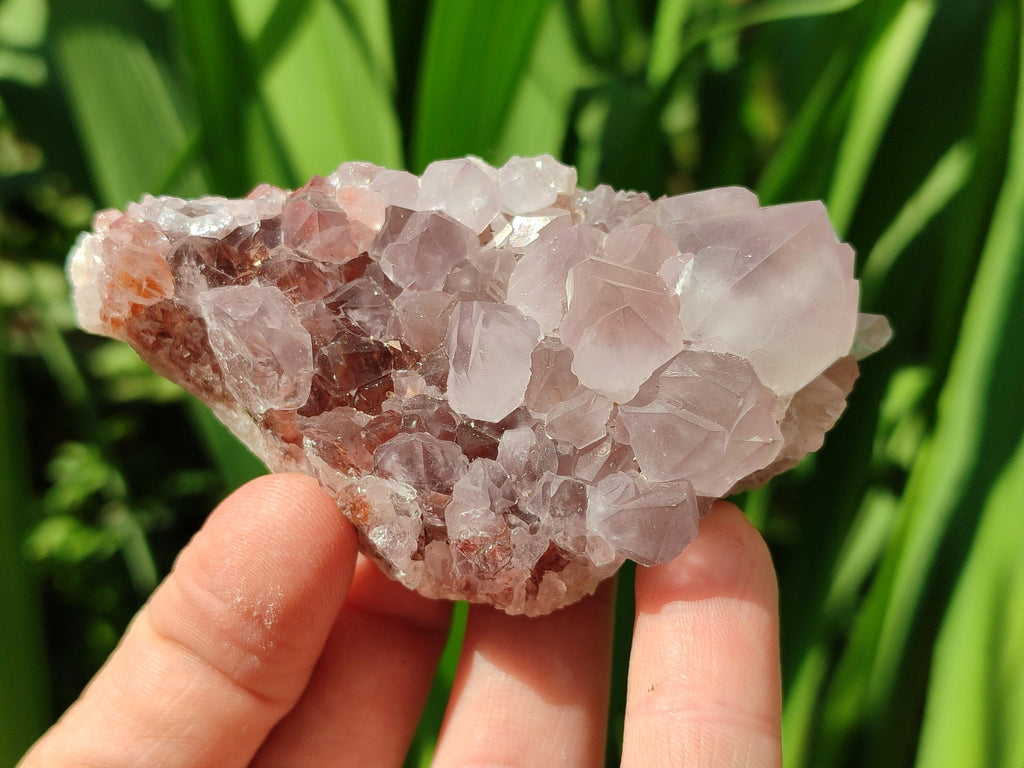 Natural Mixed Amethyst Spirit Clusters x 12 From Boekenhouthoek, South Africa