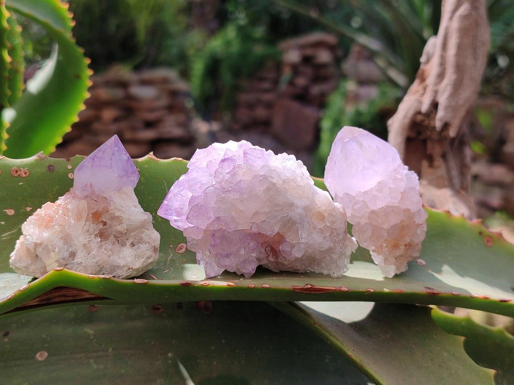 Natural Mixed Amethyst Spirit Clusters x 12 From Boekenhouthoek, South Africa