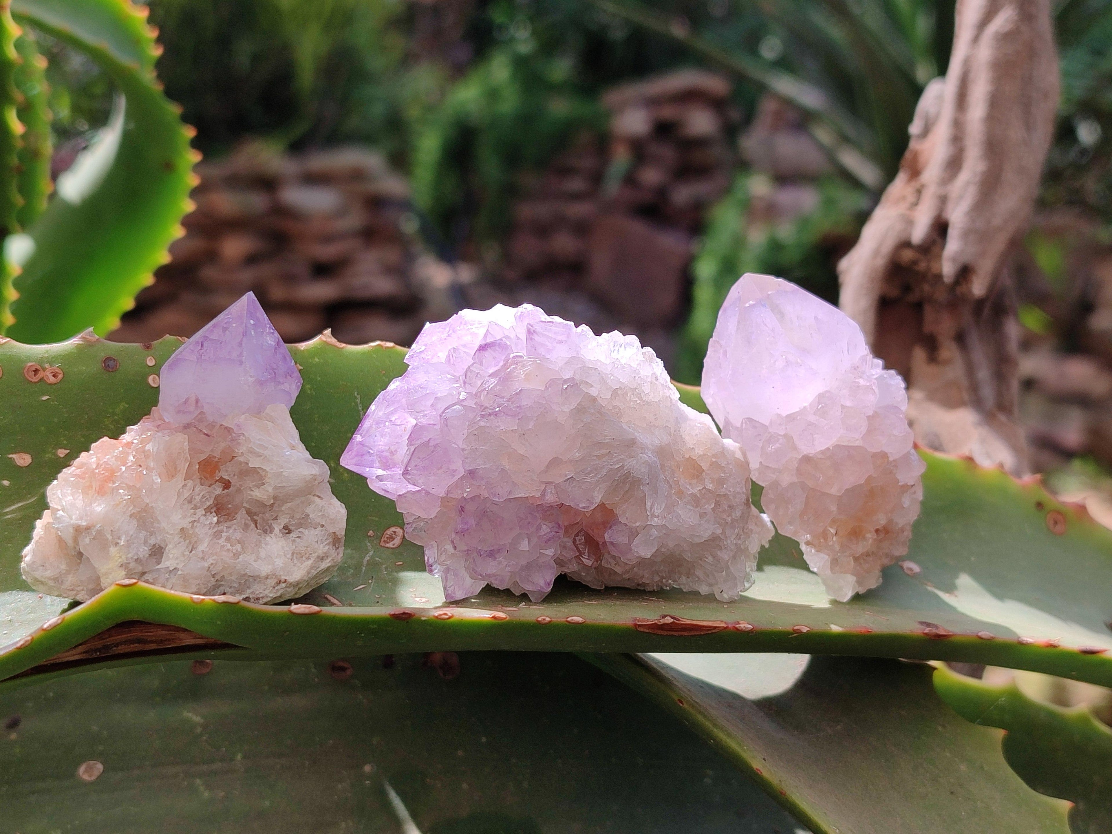 Natural Mixed Amethyst Spirit Clusters x 12 From Boekenhouthoek, South Africa