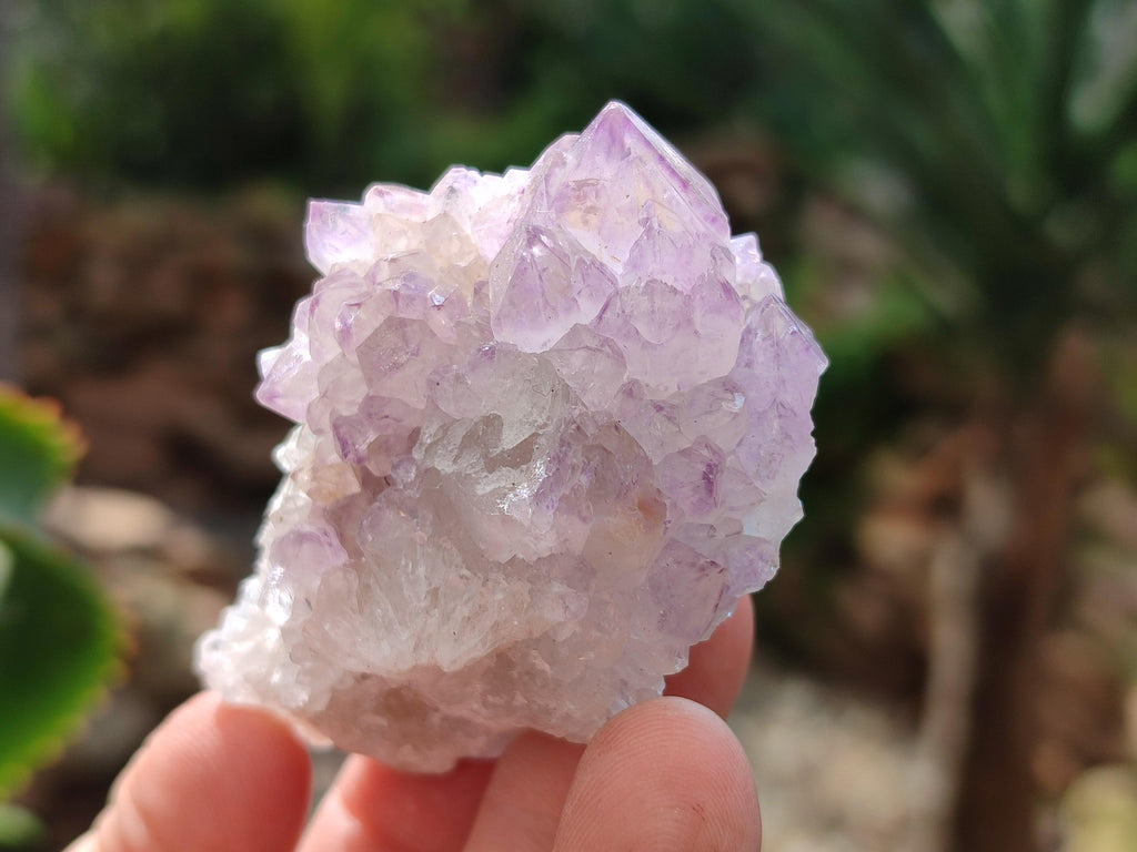 Natural Mixed Amethyst Spirit Clusters x 12 From Boekenhouthoek, South Africa