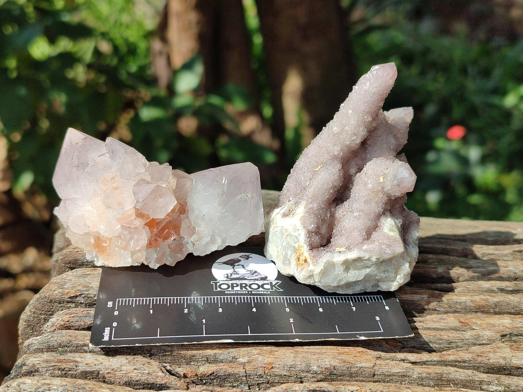 Natural Mixed Amethyst Spirit Clusters x 12 From Boekenhouthoek, South Africa