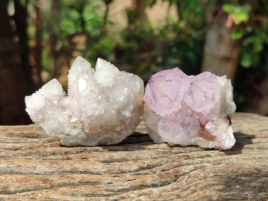 Natural Mixed Amethyst Spirit Clusters x 12 From Boekenhouthoek, South Africa