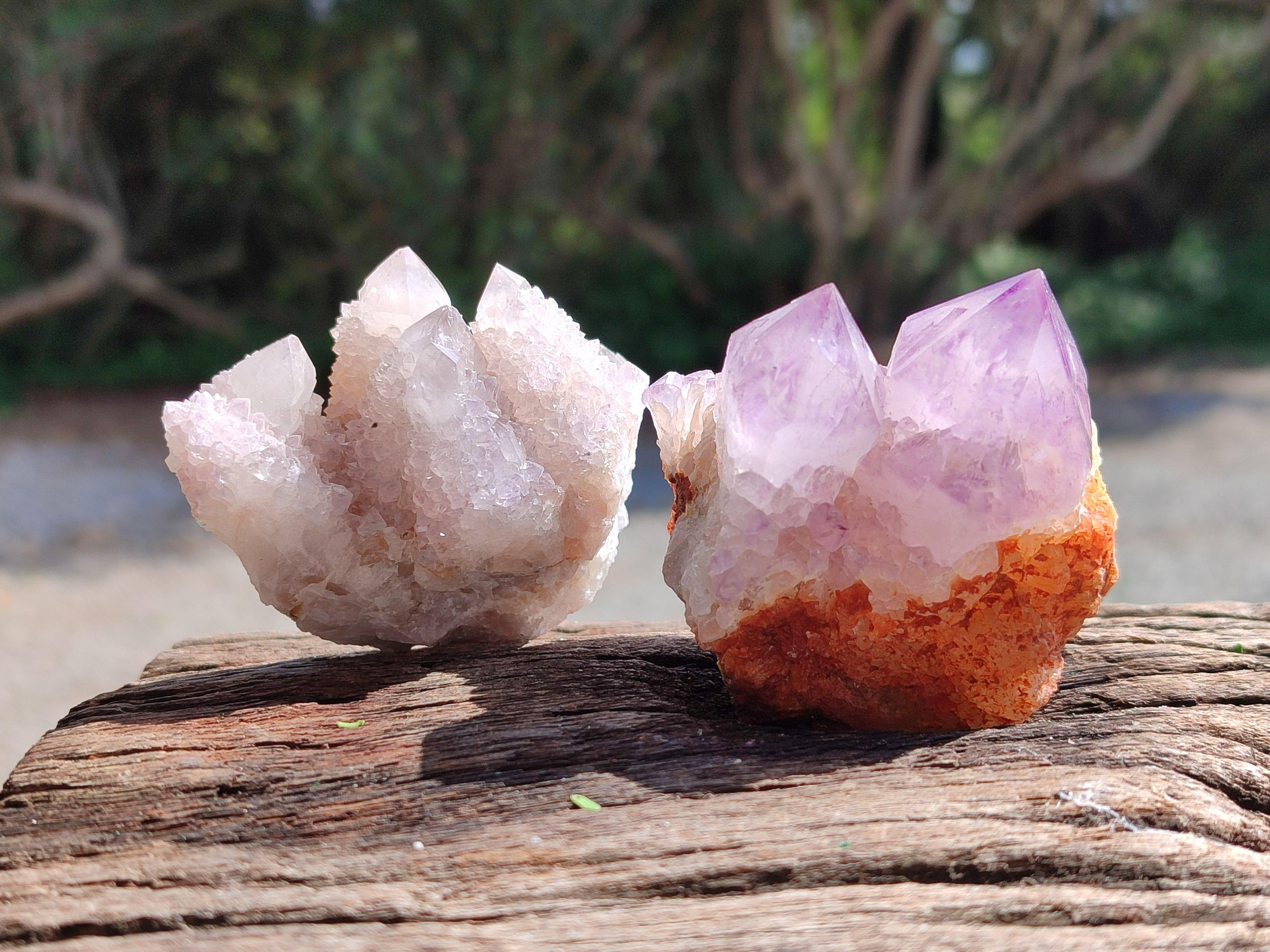 Natural Mixed Amethyst Spirit Clusters x 12 From Boekenhouthoek, South Africa