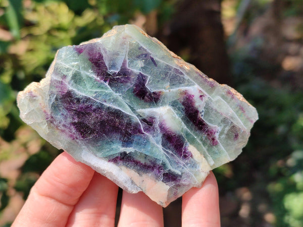 Polished On One Side Watermelon Fluorite Slices x 6 From Uis, Namibia