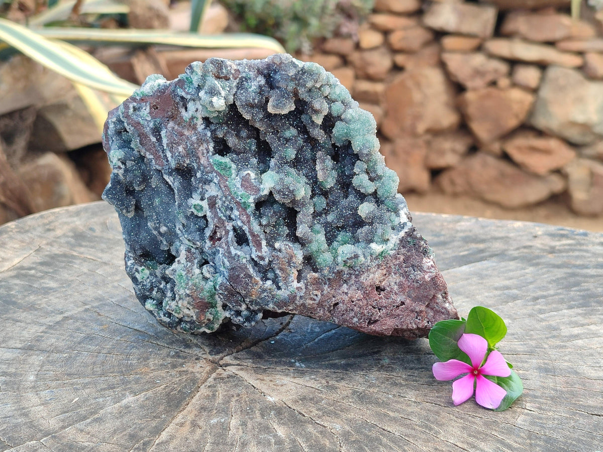 Natural Drusy Quartz Coated Ball Malachite On Dolomite Specimen x 1 From Mindingi Mine, Kambove, Congo
