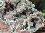Natural Drusy Quartz Coated Ball Malachite On Dolomite Specimen x 1 From Mindingi Mine, Kambove, Congo
