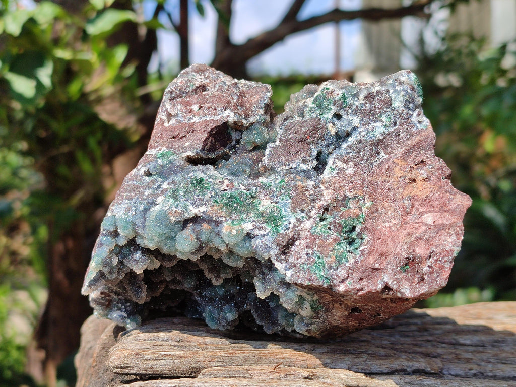 Natural Drusy Quartz Coated Ball Malachite On Dolomite Specimen x 1 From Mindingi Mine, Kambove, Congo