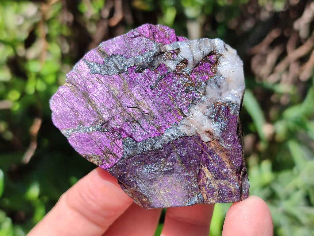 Natural Metallic Purpurite Specimens x 12 From Erongo, Namibia